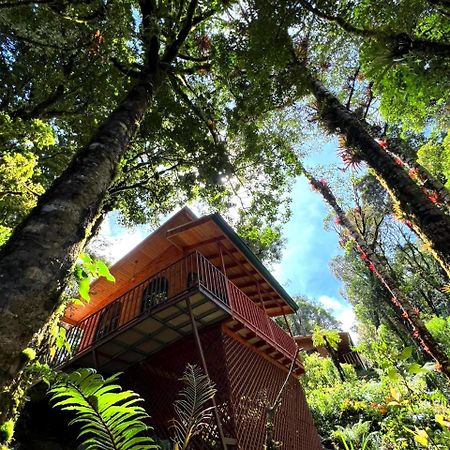 Cabana Anturios 聖荷西 外观 照片