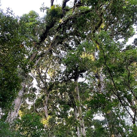 Cabana Anturios 聖荷西 外观 照片