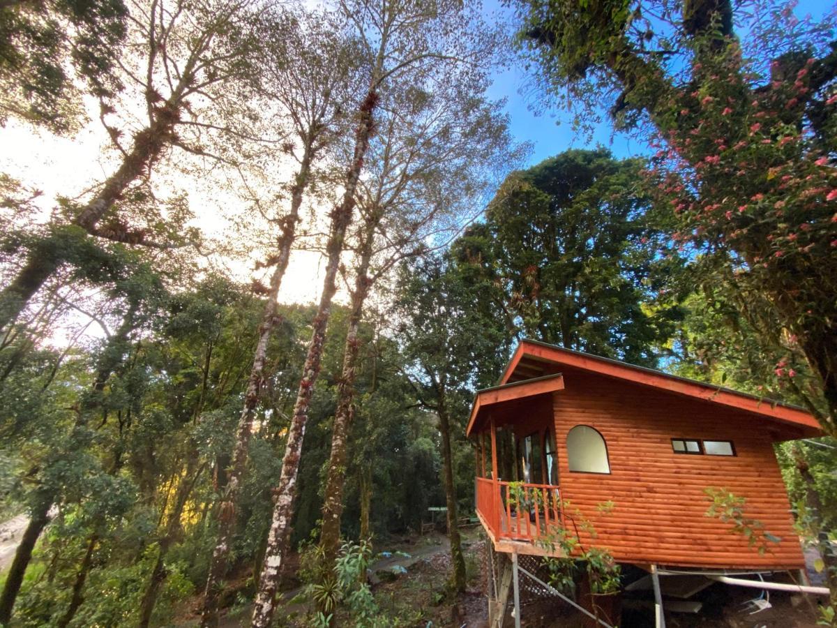 Cabana Anturios 聖荷西 外观 照片
