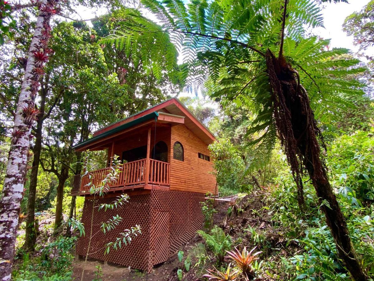 Cabana Anturios 聖荷西 外观 照片