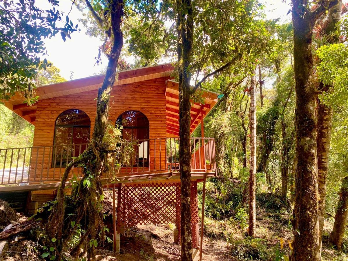 Cabana Anturios 聖荷西 外观 照片