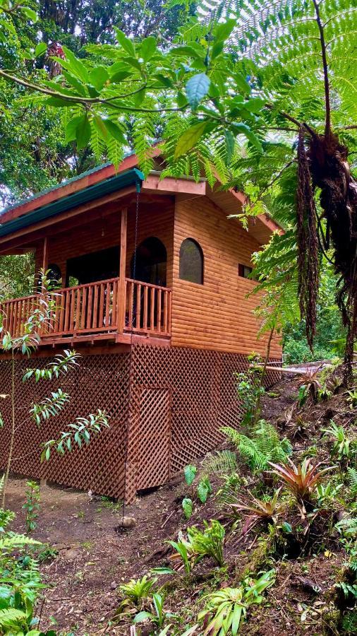 Cabana Anturios 聖荷西 外观 照片