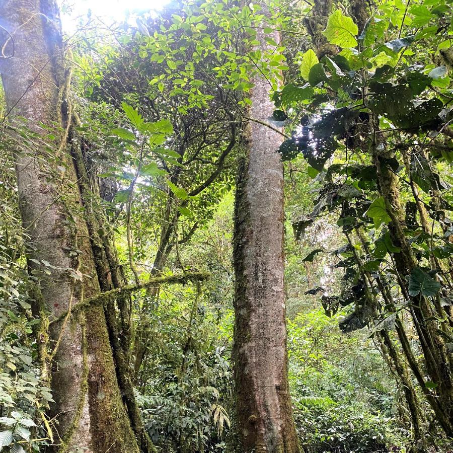 Cabana Anturios 聖荷西 外观 照片